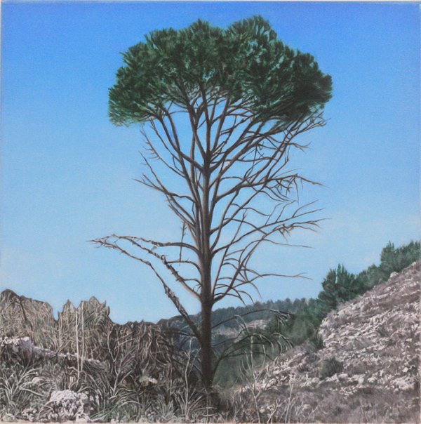 Tree-no-3-2011-40-X-40-cm-oil-on-canvas