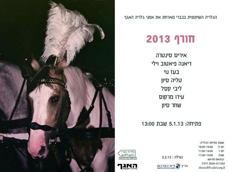 בזמנה חורף 2013