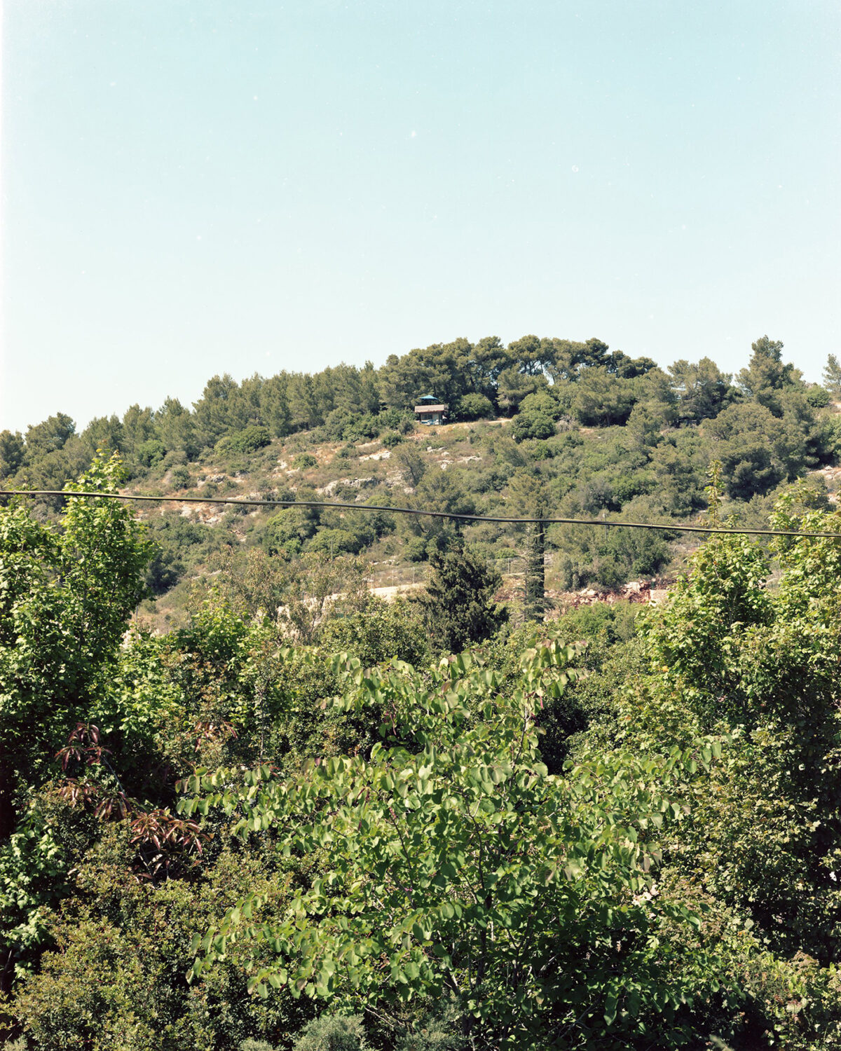 נורת'סטאר