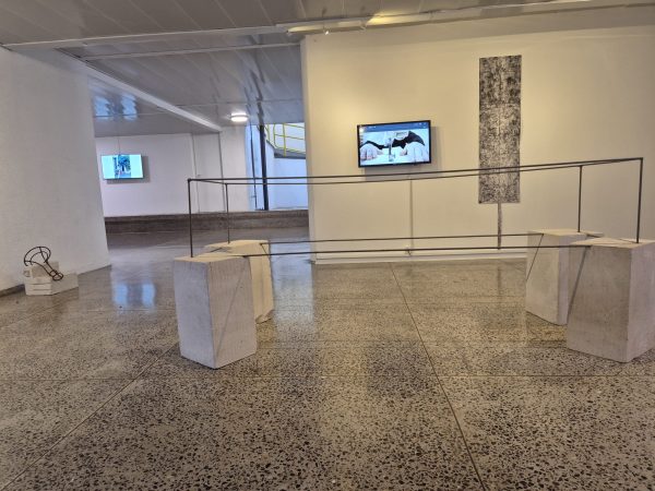 לבן כהה, רגד סואעד ומורן דעקה, 2026